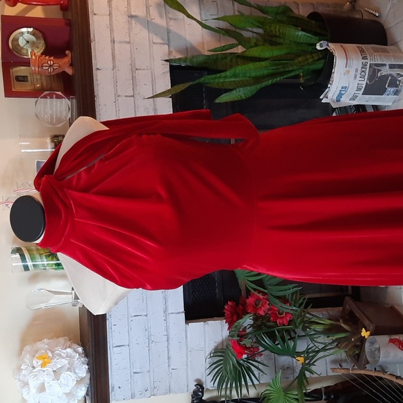 Black Halo Velvet Dress - Picture 2 of 6